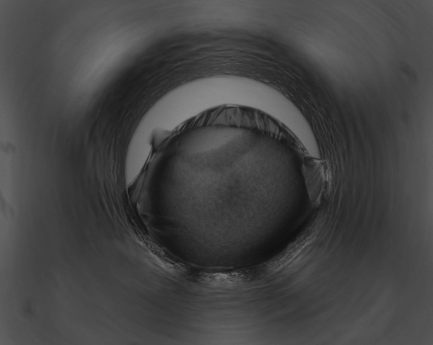 X0000090480239200708031131