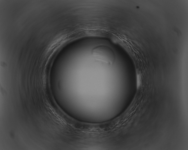 X0000090480243200708031130
