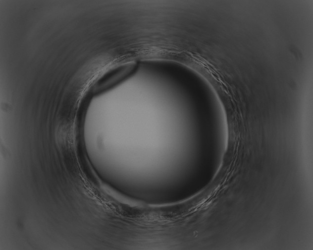 X0000090480244200708031130