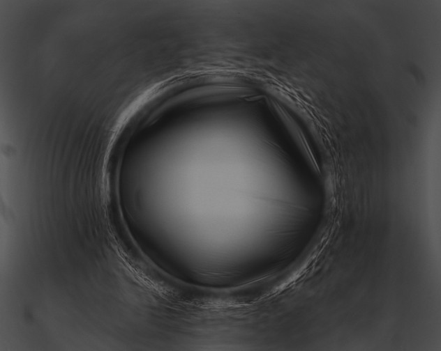 X0000090480246200708031130