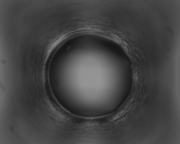 X0000090480248200708031130