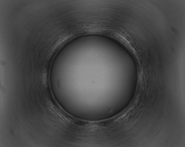 X0000090480249200708031130