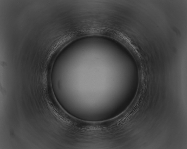 X0000090480250200708031130