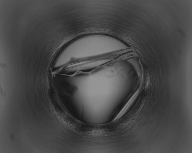 X0000090480256200708031131