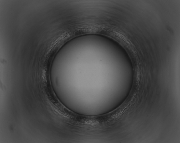 X0000090480258200708031131