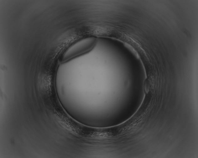 X0000090480260200708031131
