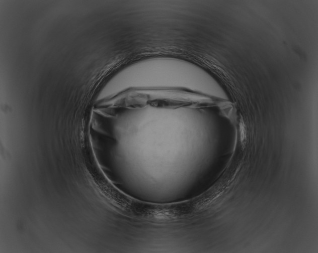X0000090480264200708031131