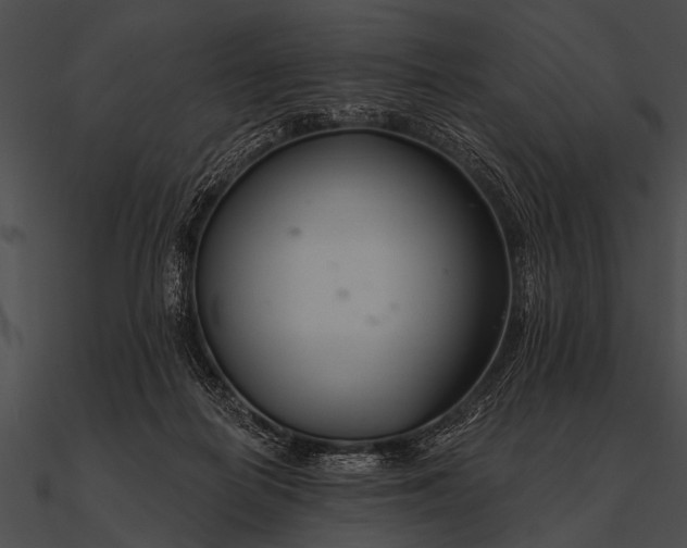 X0000090480266200708031131