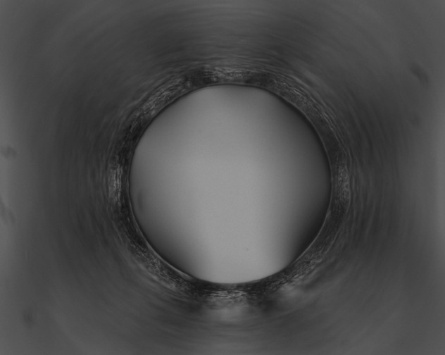 X0000090480271200708031131