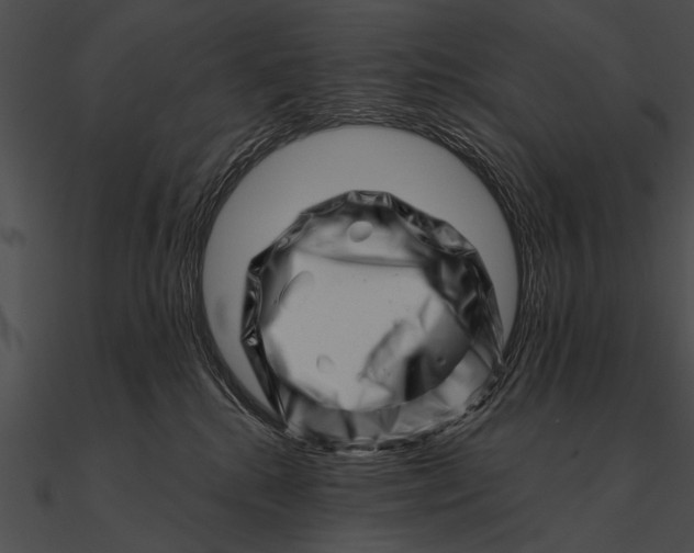 X0000090480280200708031131