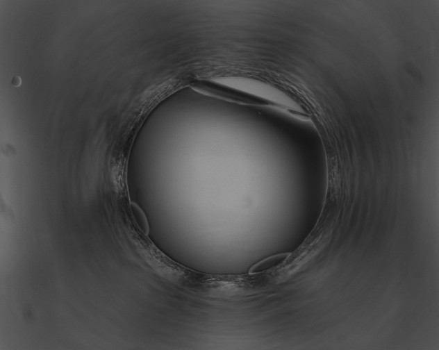 X0000090480285200708031131