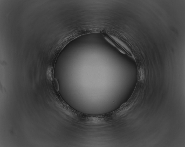 X0000090480286200708031131