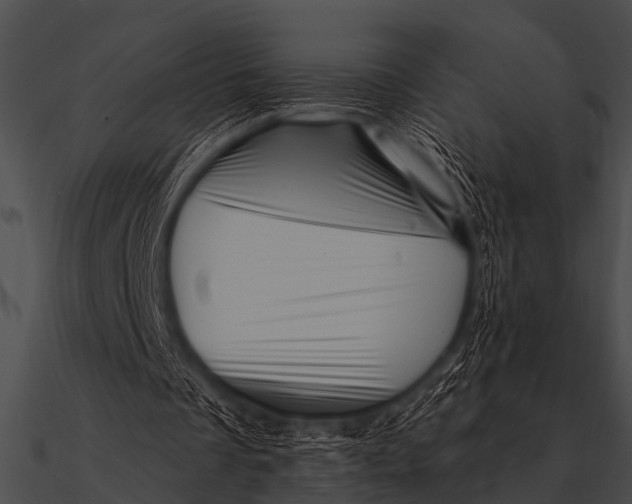 X0000090480289200708031130