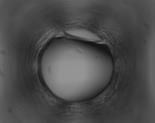 X0000090480290200708031130