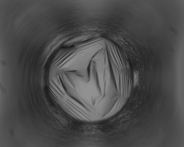 X0000090480291200708031130