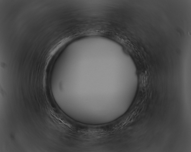 X0000090480292200708031130