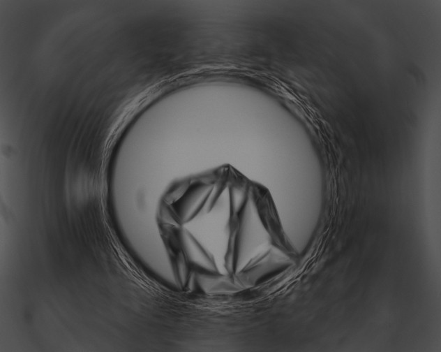 X0000090480293200708031130