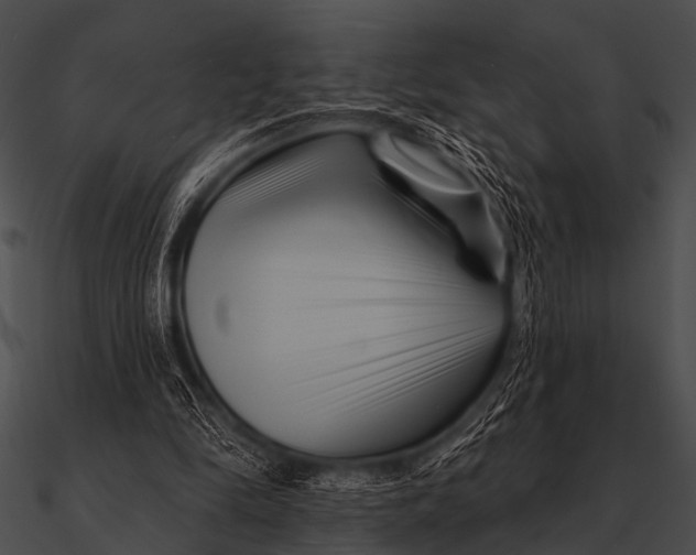 X0000090480294200708031130