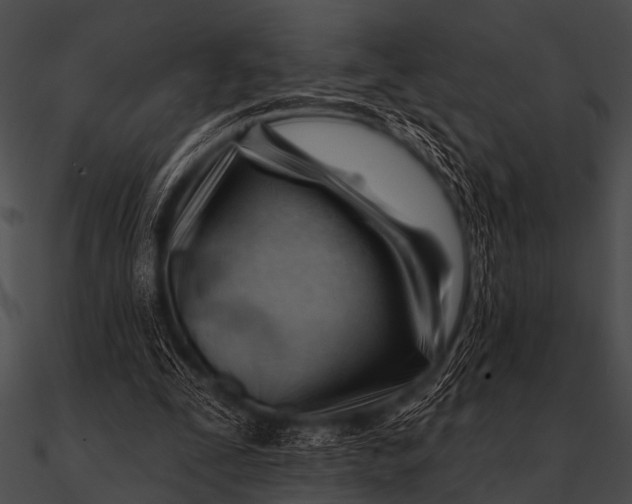 X0000090480295200708031130