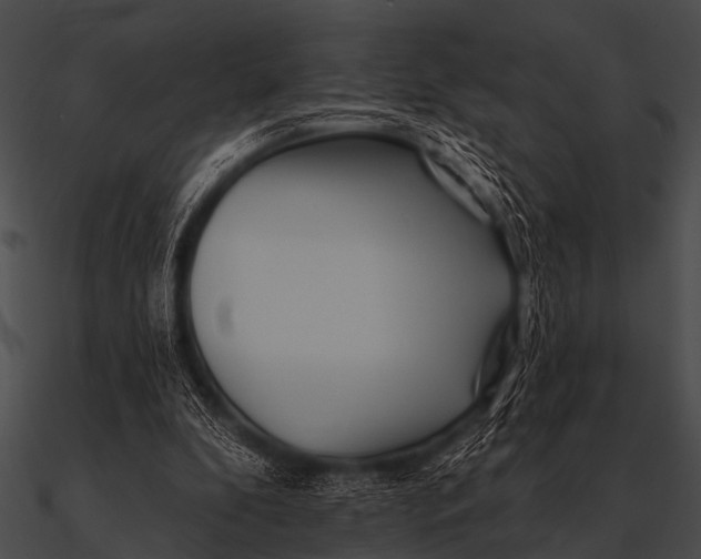 X0000090480296200708031130
