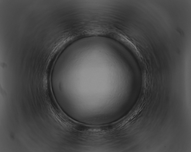 X0000090480298200708031130