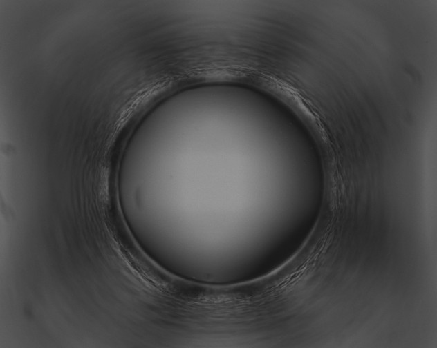 X0000090480299200708031130