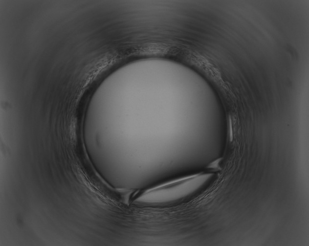X0000090480300200708031130