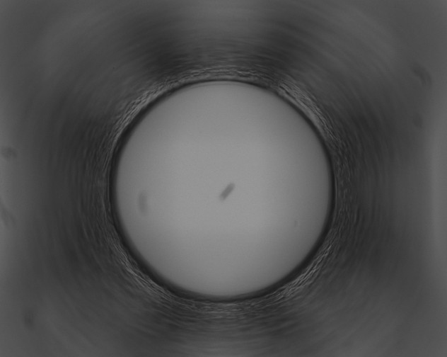 X0000090480301200708031130