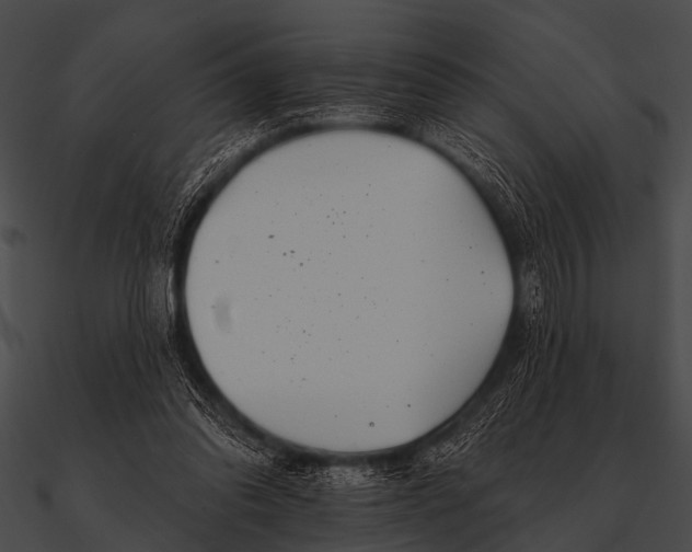 X0000090480302200708031130