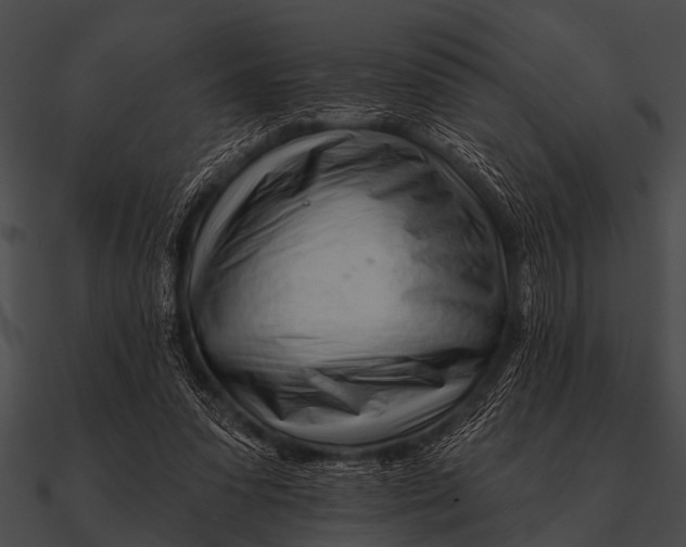 X0000090480303200708031130