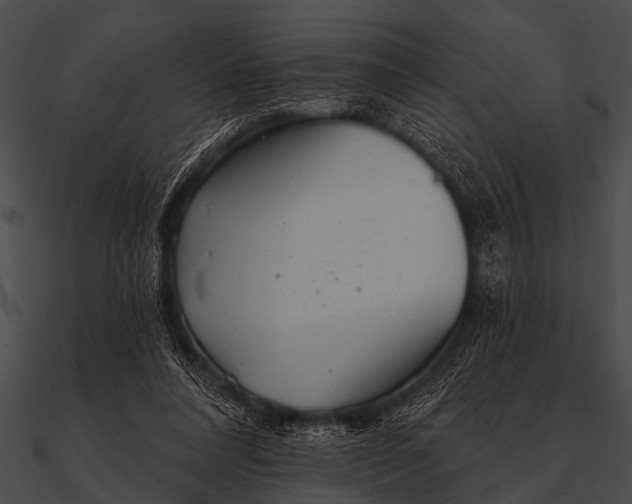 X0000090480304200708031130