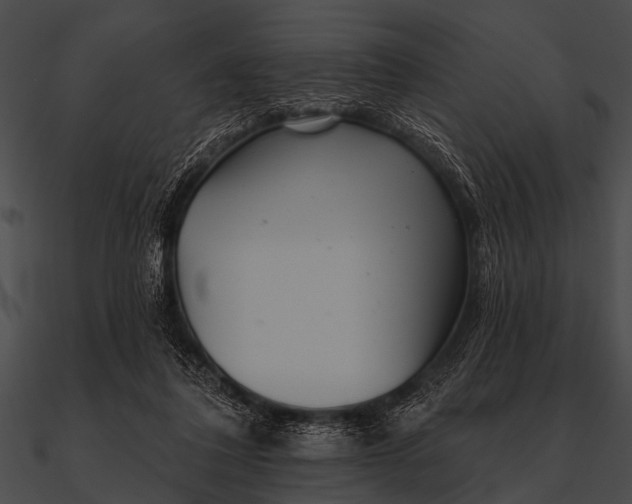 X0000090480308200708031130