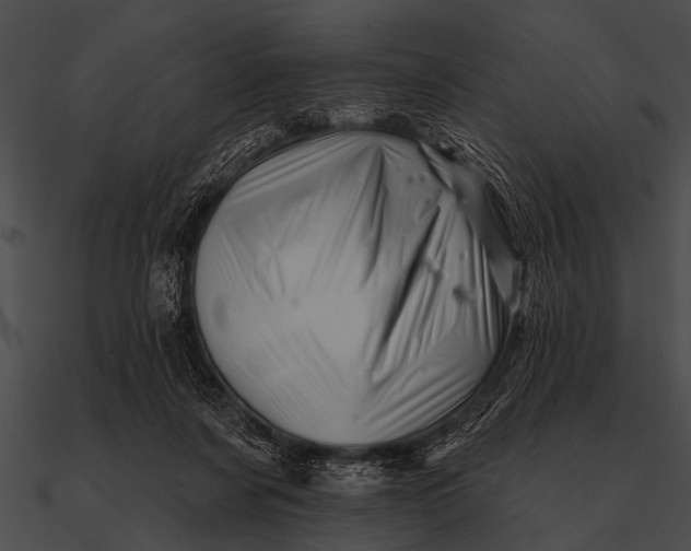 X0000090480311200708031130