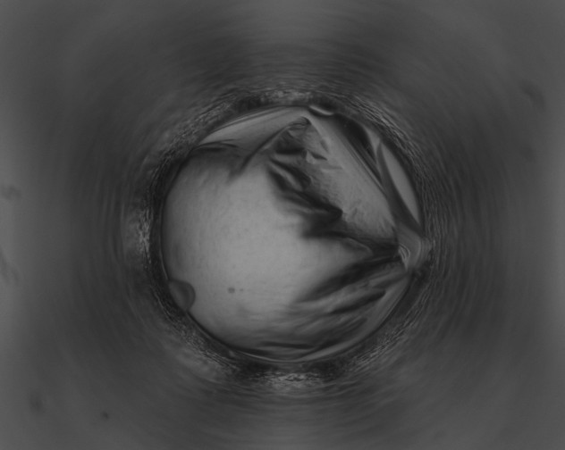 X0000090480315200708031130