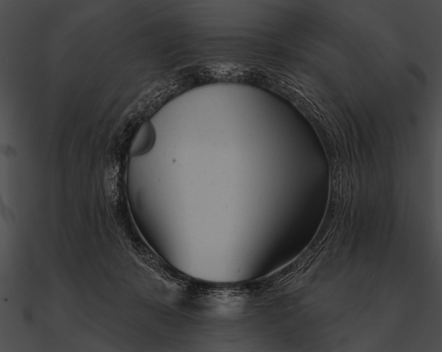 X0000090480319200708031130