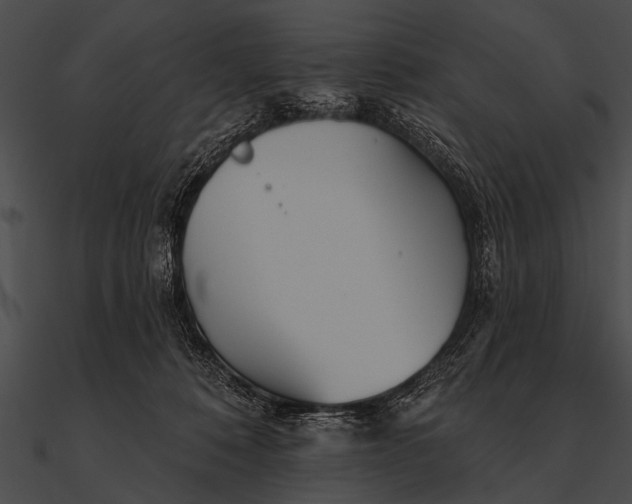 X0000090480320200708031130