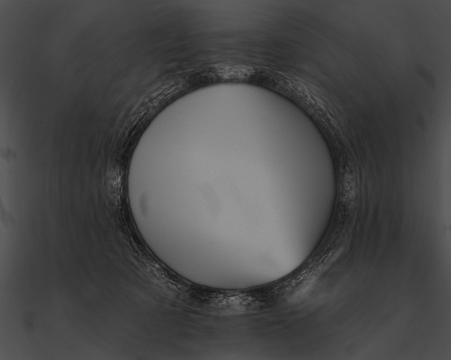 X0000090480321200708031130