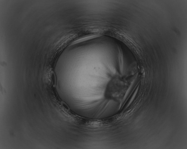 X0000090480325200708031130