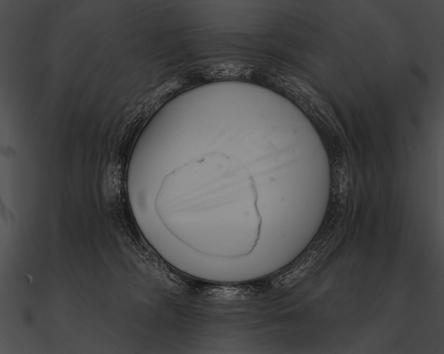 X0000090480326200708031130