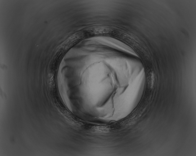 X0000090480327200708031130