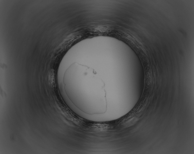 X0000090480328200708031130