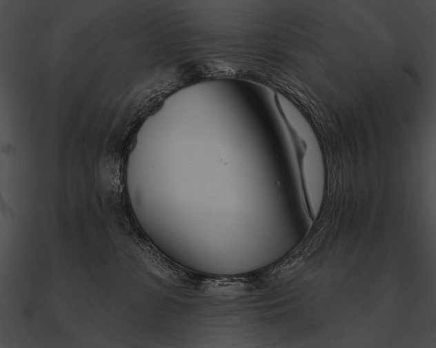 X0000090480331200708031130