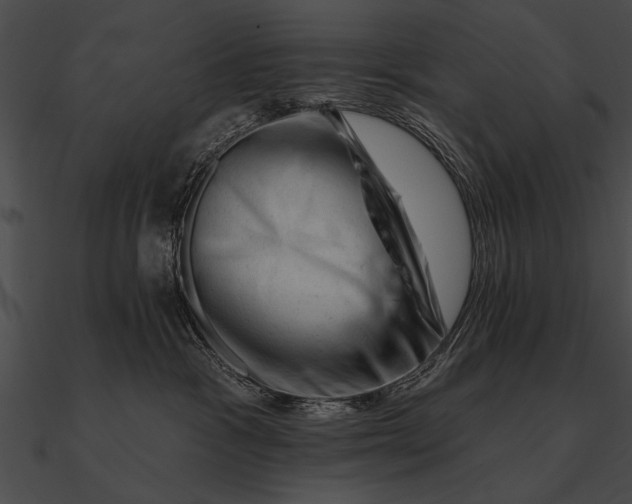 X0000090480333200708031130