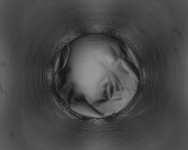 X0000090480334200708031130