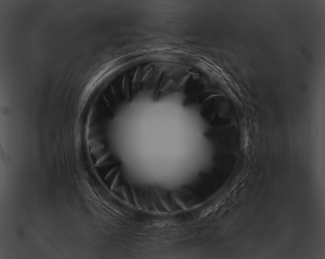 X0000090480344200708031129