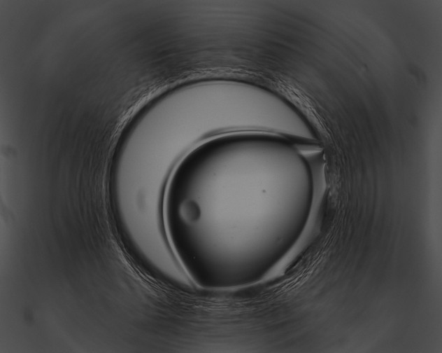 X0000090480348200708031129