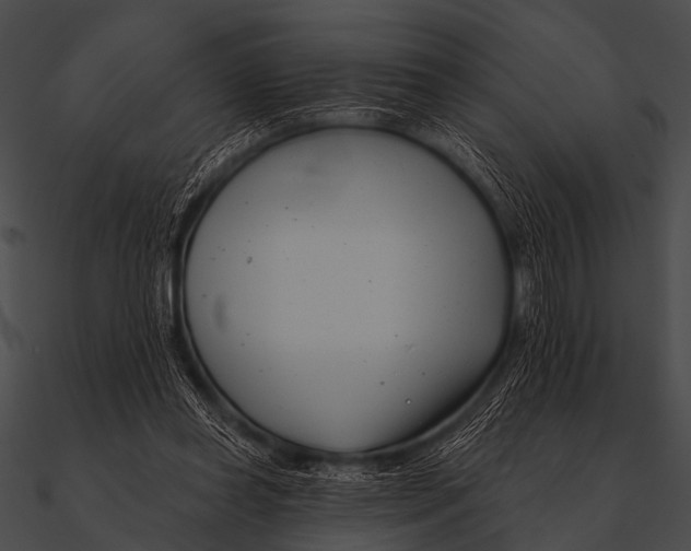 X0000090480349200708031129