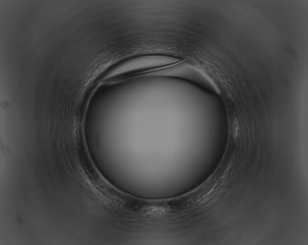 X0000090480352200708031129