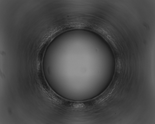 X0000090480355200708031129