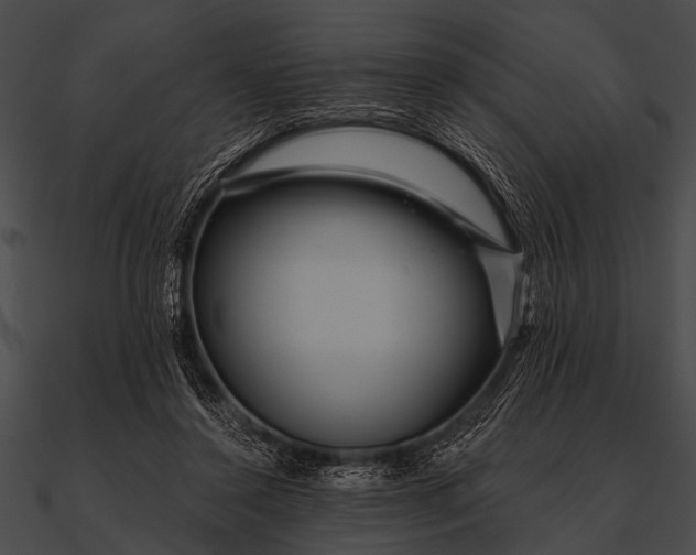 X0000090480356200708031129